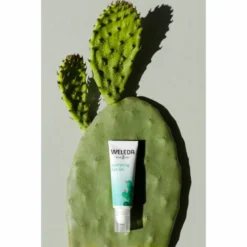 Weleda Ooggel Vijgencactus Hydraterend -Exporteren Zalfje Pro Winkel 1011832 3